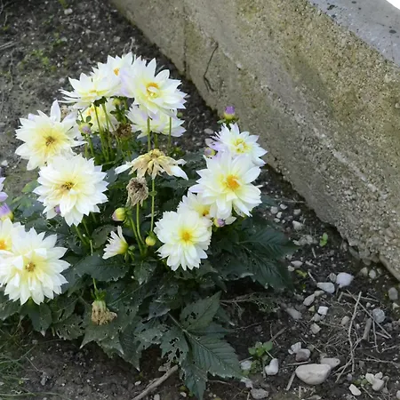 Nocleg ze śniadaniem Il Sole E La Luna In 4*