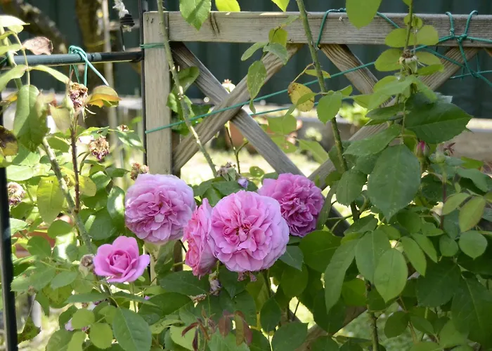 Il Sole E La Luna In 4* غارْدا