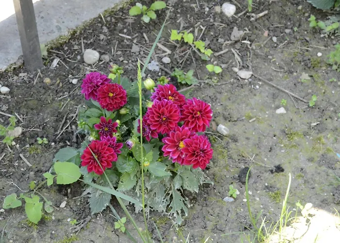 Il Sole E La Luna In فندق مبيت وإفطار