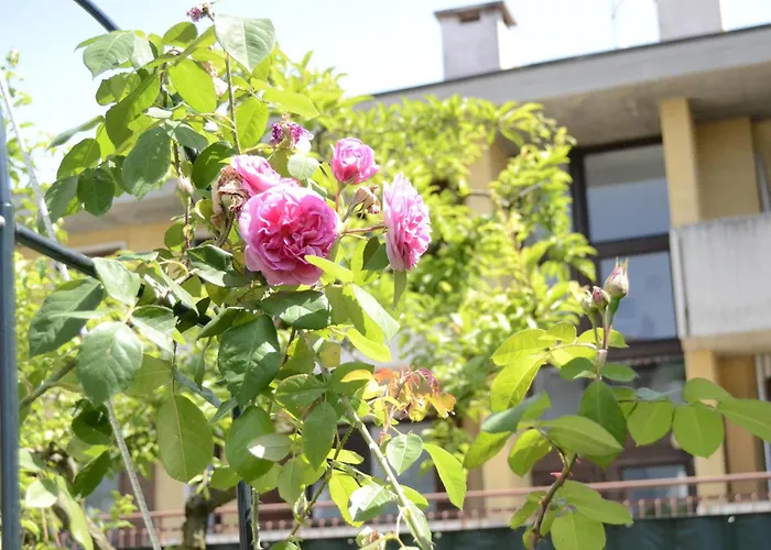 Il Sole E La Luna In فندق مبيت وإفطار غارْدا